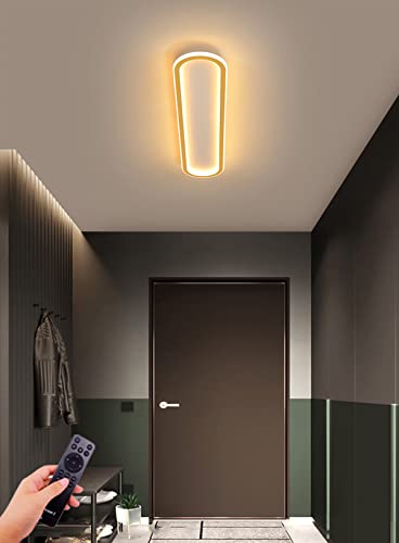 Plafond LED dimmable doré avec télécommande et design long moderne pour salon