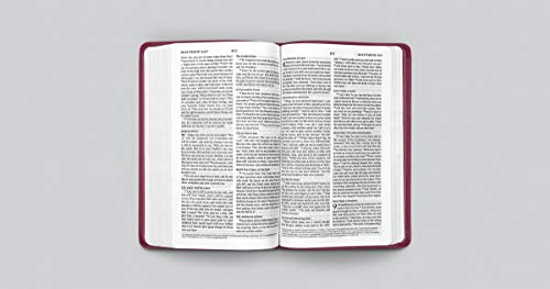 ESV Premium Gift Bible (TruTone, Raspberry, Emblem Design): Holy Bible, English Standard Version - image 6