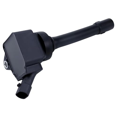 Bobine d'allumage pour Haval H2 H4 H6 F01R00A160