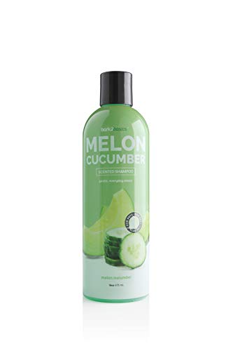 Bark 2 Basics Melon Cucumber Dog Shampoo, 16 Oz - Naturally Derived Ingredients, Unique Herbal Blend, Protects, Repairs, And Nourishes #TOP16
