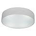 Access Lighting TomTom 2-light Fluorescent Satin Flush Mount with Frosted Glass