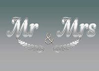 Mr and Mrs, Guest Book Paperblanks Midi Lined Journal 8. 25*6 Widding Planner, 5 Guest Names per Page, Silver Notebook Wedding Planner : Guest List Planner for Wedding Planner 1676625976 Book Cover