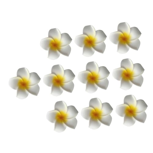 COLLBATH 10 Ẵr[`p[eB[ɂ?^nCԃwAs t@bViuȃCG[t[wbhhX q