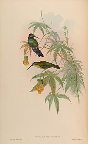 Lienzo decorativo de pájaros de 60x90cm para transformar paredes vacías del dormitorio