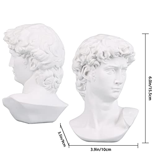 David Statue And Sculpture Fine Art Bust Greek Statue Decor, Resin Statue Of David Used For Sketch Practice Aesthetics Statues And Sculptures And Indoor Filling Space For Living Room,Bedroom And Study #TOP1