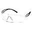 Black Temples/Clear Lens