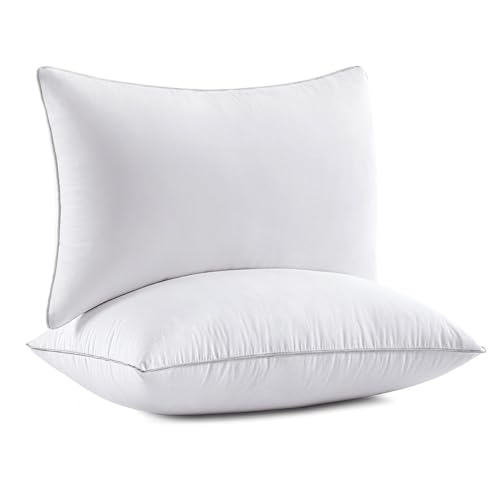 MIULEE 20x26 Pillow Inserts (Set of 2) -Decorative Throw Pillow with 100% Cotton Cover Rectangle for Sofa Couch