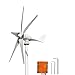 FLTXNY POWER Aerogenerador 600W 12V turbina eolica 5 Palas aerogenerador eolico domesticos generador molino eolico controlador de carga