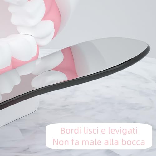 Norhogo Intra-orale Fotografie Spiegel, Intra-orale Inspektion Spiegel 5 Stück, Spiegel für Intra-orale Dentalfotografie