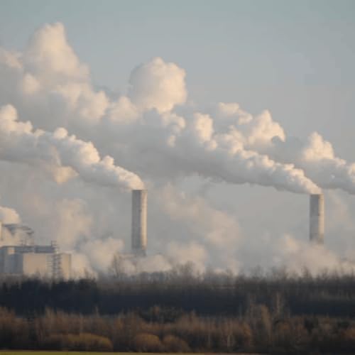 If You Stop Counting Lives, Air Pollution Gets Cheaper