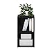 Furinno PASIR Book Shelf, 2-Tier Modern Bookshelf, Open Shelves Bookcase 9 x 12 x 21, for Living Room, Bedroom, Home Office, Blackwood