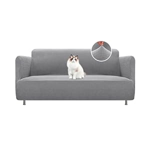 BellaHills High Stretch Sofa Cover 2 Seater 1 Piece Loveseat Sofa Covers Pets Friendly Sofa Slipcovers for Living Room Couch Covers Washable Furniture Protectors (Loveseat, Dove)