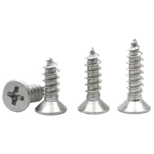 Vis M5 x 45mm autotaraudeuse à tête fraisée Phillips en acier inoxydable 304