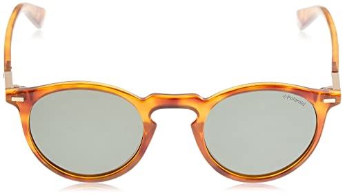 Polaroid Men's Modern Sunglasses2