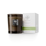 Aquiesse Cherimoya Large Scented Candle, 10oz