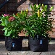 Miniatura 7 de Paquete de 3 bolsas de cultivo de plantas de tela biodegradable de 1 galón, resistentes y respetuosas con el medio ambiente