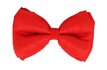 Lana Paws Cherry Red Silk Dog Bow Tie/Bowtie, M-L