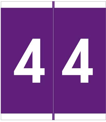Doctor Stuff - File Folder Labels, Number 4, Barkley FNAVM Match - AVNM Series Chart Stickers, Purple, 1-11/16 x 1-1/2", #4, 500/Roll