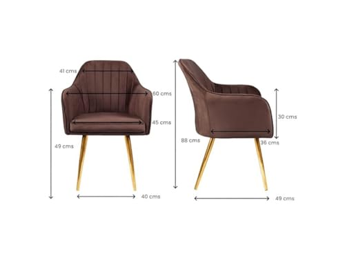 Image of Accent Chairs for Living Room | Modern Armchair in Velvet Fabric with Golden Legs | Pack of 1 Chair for Home, Office, Restaurent, Cafe (Brown)