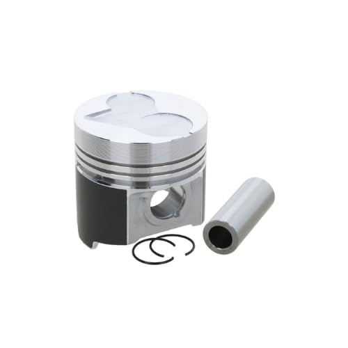 1A021-21112 Piston with Pin and Snap Ring STD D1503 Engine