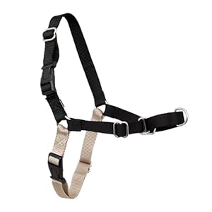 PetSafe Easy Walk Harness for Dogs ...