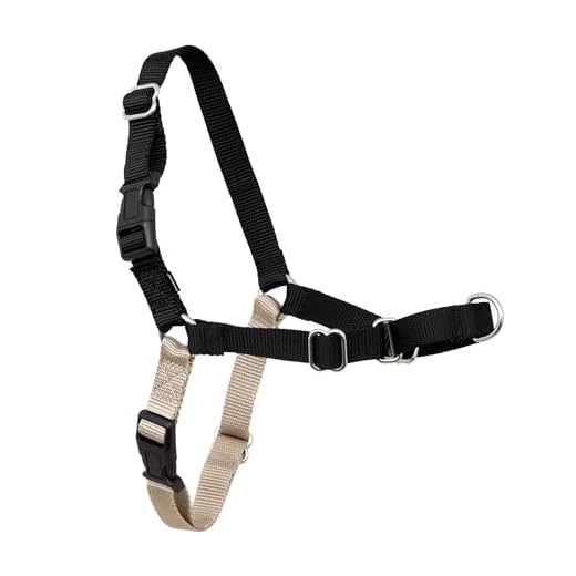PetSafe Easy Walk Dog Harness, No Pull Dog Harness, Black/Silver, Large (EWH-HC-L-BLK)