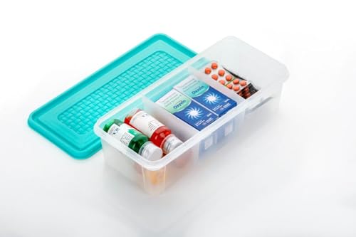 Image of MAGIC SPOON Multipurpose 3 Section Storage Container | Spice Box, Pickle Jar, Fridge Organizer, Dry Fruit, Vegetable & Kitchen Storage Container- 2000ml X 1 Pack (AQUA)