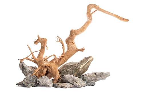 Image of Driftwood for Aquarium Medium Size 1Pcs | Natural Aquarium Decor Driftwood | Random Shape and Style Medium Size 1Pc