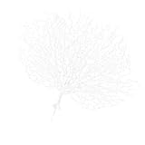 Decorazioni per piante finte-- ❤️❤️ 【ramo di corno artificiale】 ramo di albero essiccato di corno di strega dell'oscurità per la decorazione della casa dell'hotel per la festa di nozze. aggiungi un'atmosfera più vibrante al luogo.