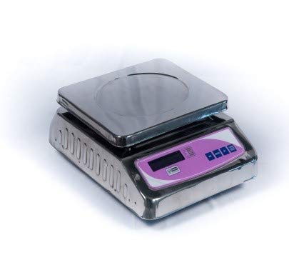 Alankar Scale SSFB30k (with Battery) – SS Body : Amazon.in: Industrial ...