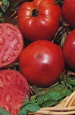 25 graines de tomate 'Super Marmande'