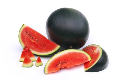 20 Samen Wassermelone Sugar Baby Melonen Obst Garten Watermelon Seeds Melonesamen