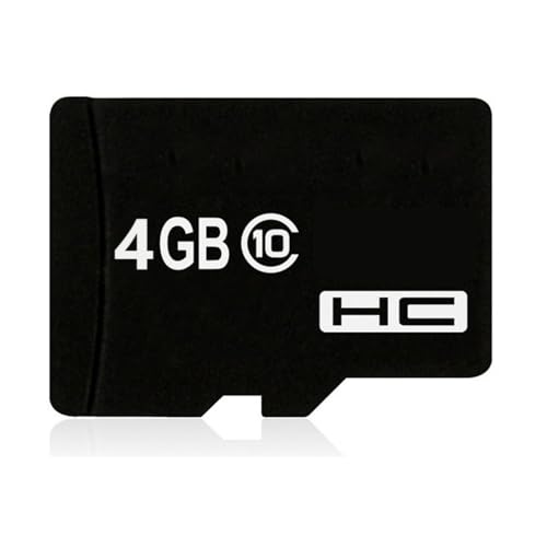REY Tarjeta de Memoria 4GB Compatible con Formato Micro SD SDHC Card