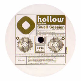 Swell Session Feat.Y.Nagano / I See Through You