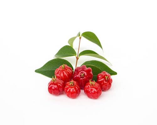 Nuevas semillas de fruta fresca de pitanga 70 piezas
