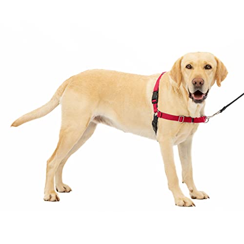 PetSafe Easy Walk, Pettorina per Cani, Pettorina Anti-tiro per Cani, per l'Addestramento con Guinzaglio e Pettorina, Impedisce al Cane di Tirare e Strozzarsi, Rosso, L, Grande