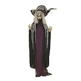 Haunted Hill Farm Life-Size Poseable Scary Talking Witch, Halloween Animatronic with Touch Activated Lights and Sound, Battery Operated Indoor or Covered Outdoor Halloween Decorations, Fright Props