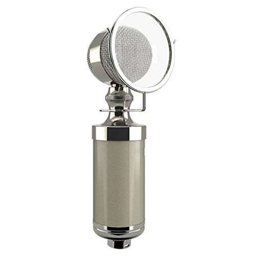 Kleine Flasche Kondensator-Mikrofon Netzwerk Recording Karaoke Computer-Rufen Weizen Live-Broadcast Equipment (Color : Silver)