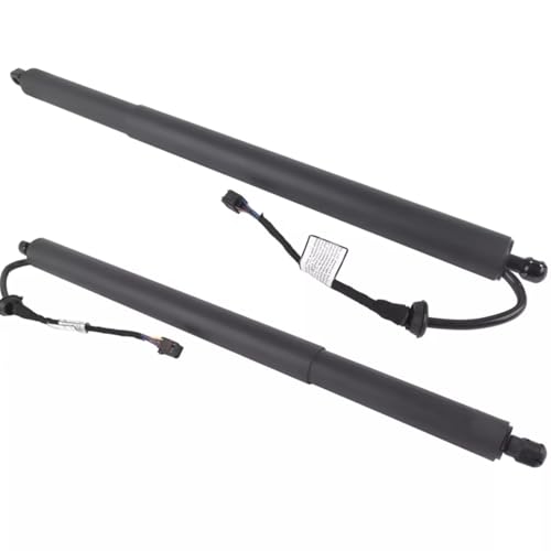 Hayon bloqué sur Palisade ? Changez pour ce support de levage électrique OEM - 2