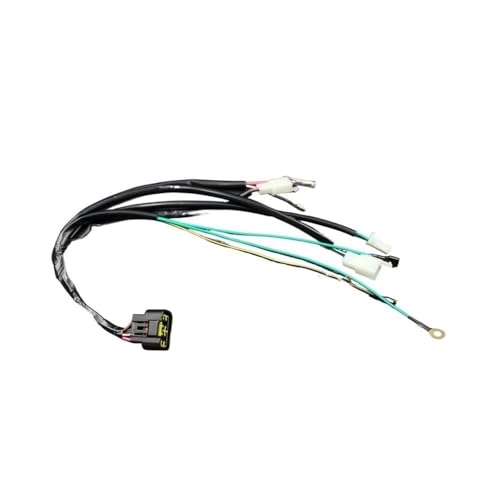 Pièces électriques de précision avec CDI 8 broches pour Pit Bike