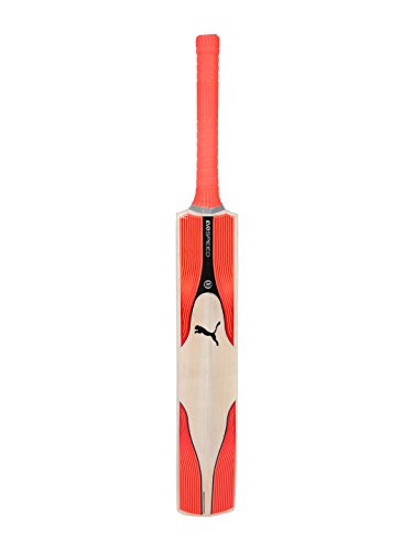 PUMA Cricket Kashmir Willow Bat (Evo Speed 2 KW Senior, Short Handle) by Yogi Sports