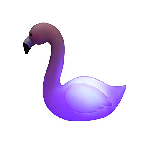 ZHOUBA Romántico estilo flamenco noche