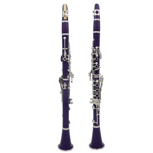 Clarinette sib violette pour apprendre la musique à la maison et à l'école