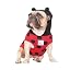 Lightweight Ladybug Red