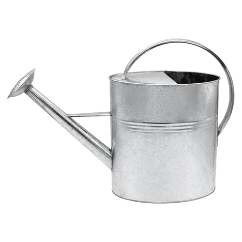 Arrosoir de Jardin Galvanisé 10 L - Intérieur et Extérieur - Métal Avec Tête de Douche Dévissable - Zinc Nostalgique Résistant Aux Intempéries