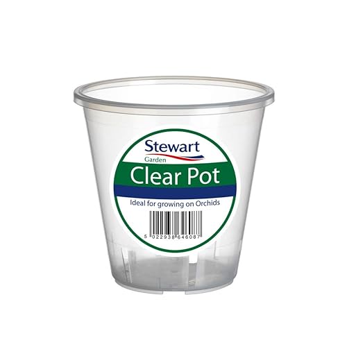 Stewart 2643008 ALTUNA - Pot Transparente 13,5 cm, Claire, 13 cm