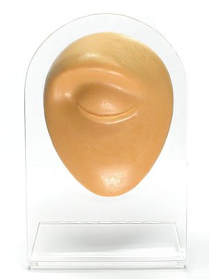 Silicone Eyebrow Display - Tan Body Bit Version 1