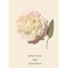 Victoria's Secret Bombshell Eau de Parfum, Seduction - 3.4 fl oz