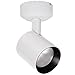 WAC Lighting MO-6022A-830-WT Lucio LED 22W Monopoint 3000K Asymmetric Beam, Asymentrical, White