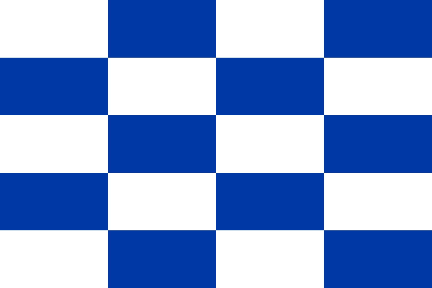 Drapeau Large Dalfsen vlag anti-effilochage pour mât exposé au vent